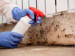 Best Environmental Consulting for Mold Prevention  in Grafton, OH